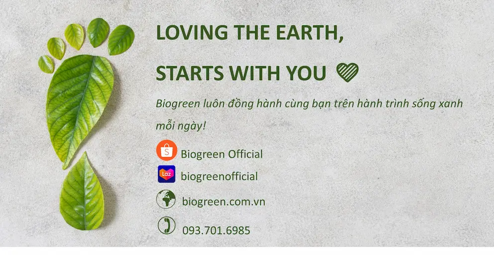 Biogreen Tự Hào Là 1 Trong Các Đơn Vị Đi Đầu Trong Việc Sản Xuất Và Phân Phối Các Sản Phẩm Thân Thiện Môi Trường Như: Ống Hút Giấy, Ly Cafe Giấy, Hộp Bã Mía, Hộp Kraft, Dụng Cụ Ăn Uống Bằng Gỗ,…