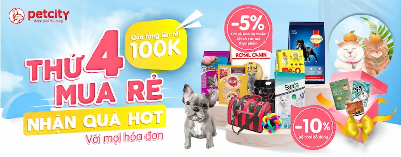 Petcity 1 Chuỗi Cửa Hàng Đồ Thú Cưng – Siêu Thị Đồ Cho Chó Mèo, Thú Cưng