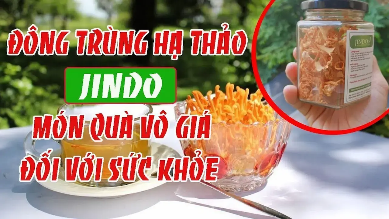 Đông Trùng Hạ Thảo JINDO 1 Đơn Vị Sản Xuất Đông Trùng Chất Lượng Cao Giá Tốt Nuôi Cấy Tại Đà Lạt