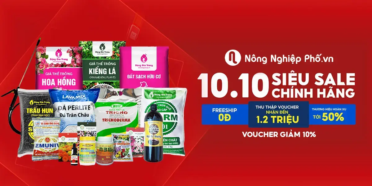 Nông Nghiệp Phố Thuộc Sở Hữu Của Công Ty Cổ Phần P3t Chuỗi Cửa Hàng Cung Cấp Vật Tư Trồng Rau Và Hoa Kiểng Nơi Phố Thị.