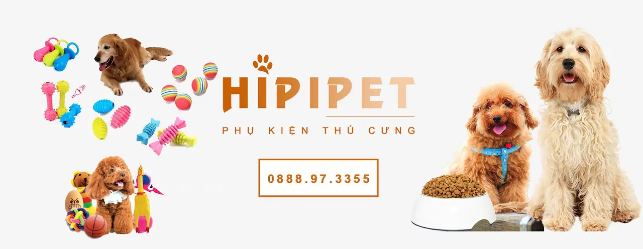 hipipet
