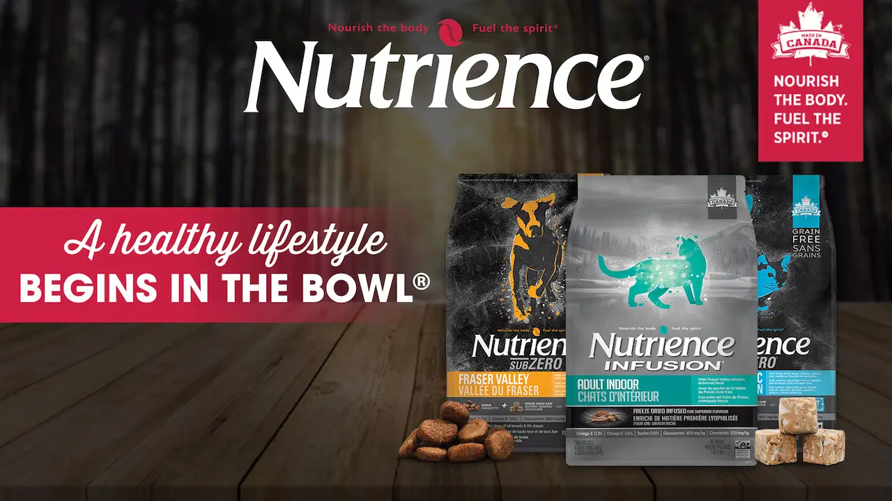 nutrience