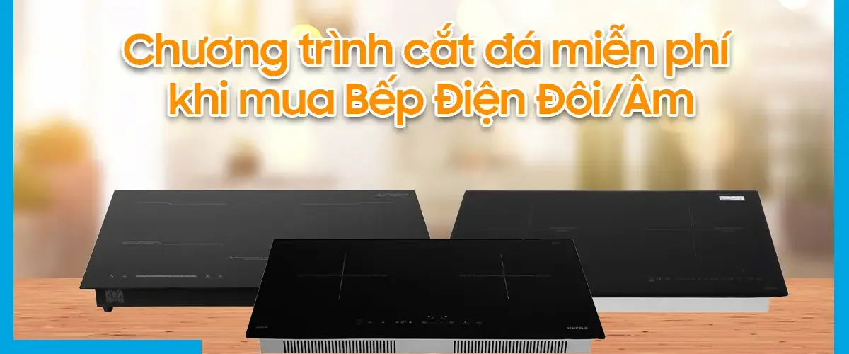 Chương trình cắt đá miễn phí khi mua Bếp Điện Đôi/Âm tại Điện máy XANH